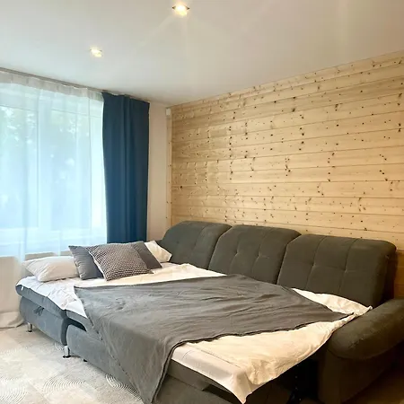Apartment 103 M2 Geraeumiges Familienfreundliche Mit Infrarotsauna In Erfurt